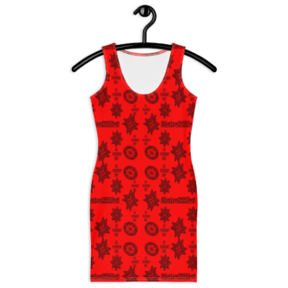 Red beryl Bodycon dress
